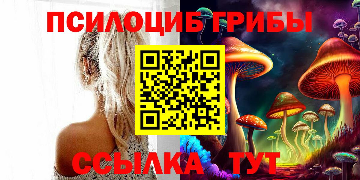 Псилоцибиновые грибы MAGIC MUSHROOMS  Галлюциногенные грибы Cubensis  Кинель  Вход с VPN 